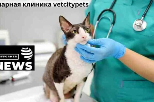 ветеринарная клиника vetcitypets