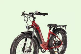 Electric Bike