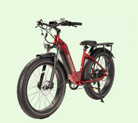 Electric Bike