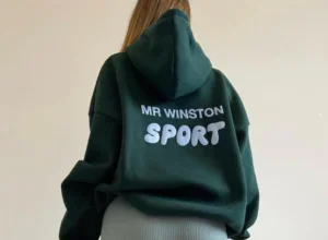 The Life of Mr Winston Hoodie An Excursion Through Time