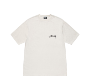 arachnid-tee-pigment-dyed-white